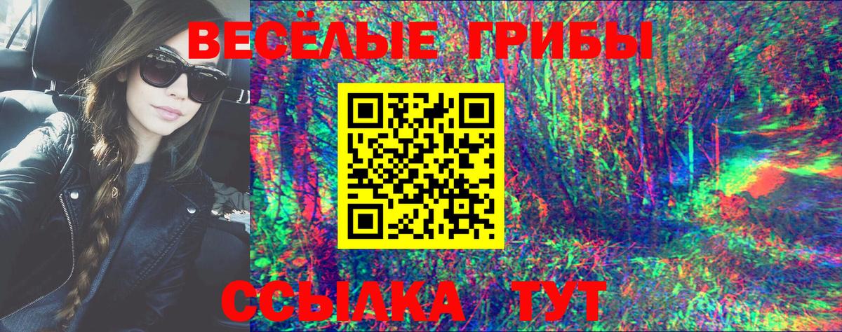 Псилоцибиновые грибы MAGIC MUSHROOMS  Вход с VPN  продажа наркотиков  Всеволожск 