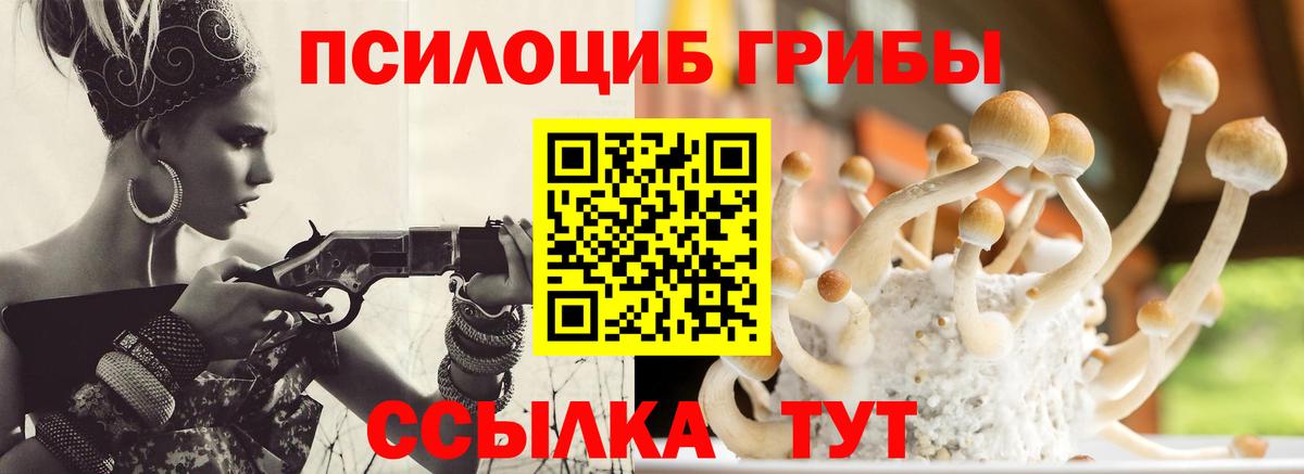 Галлюциногенные грибы прущие грибы Всеволожск